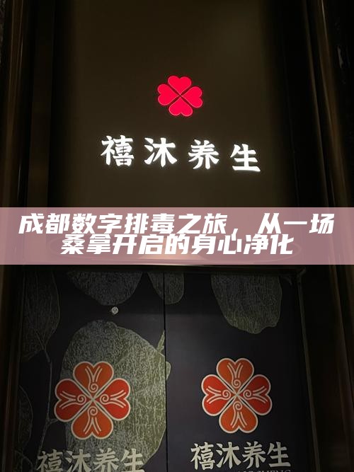 成都数字排毒之旅，从一场桑拿开启的身心净化