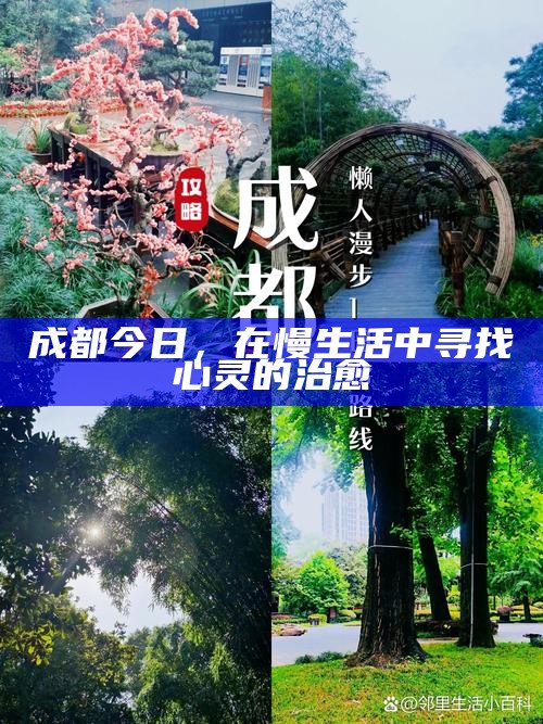 成都今日，在慢生活中寻找心灵的治愈