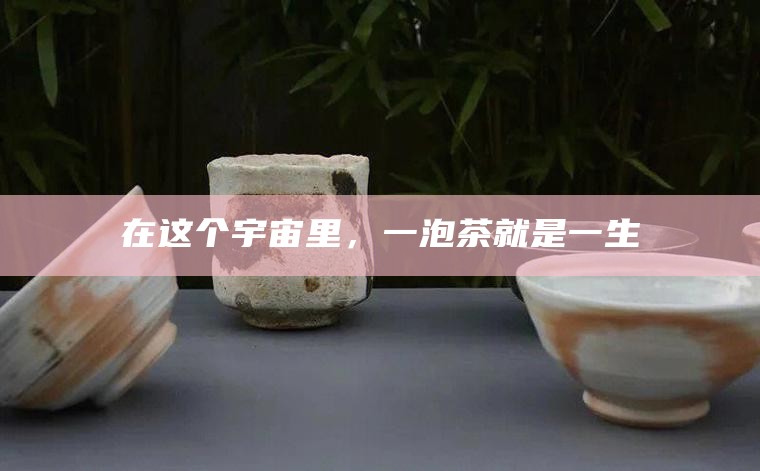 在这个宇宙里，一泡茶就是一生