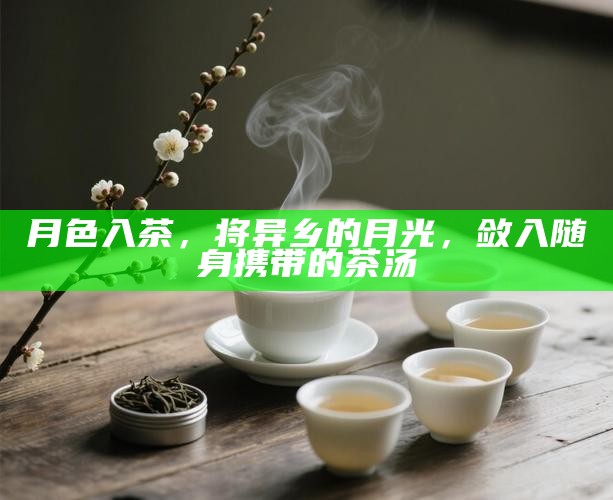 月色入茶，将异乡的月光，敛入随身携带的茶汤