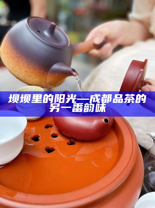 坝坝里的阳光—成都品茶的另一番韵味